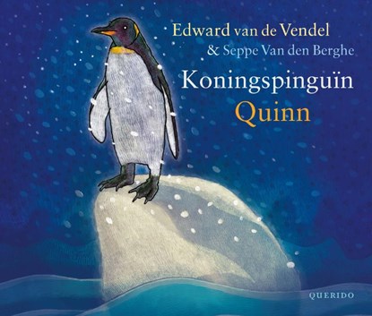 Koningspinguin Quinn